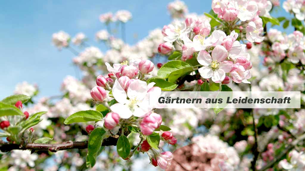 Slider Item 1 (copy) (copy) (copy) (copy)