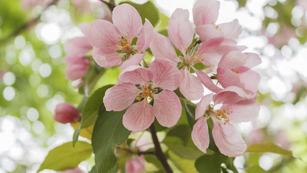 Slider Item 1 (copy) (copy)