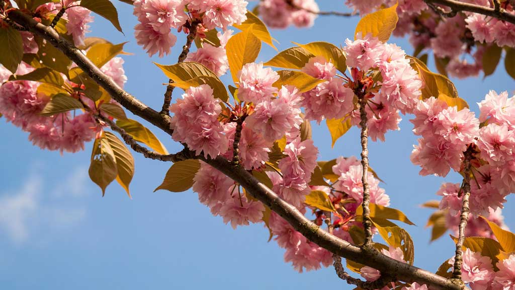 Slider Item 1 (copy) (copy) (copy)