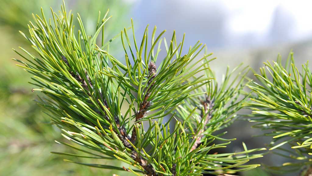 Slider Item 1 (copy) (copy) (copy) (copy) (copy) (copy) (copy) (copy) (copy)