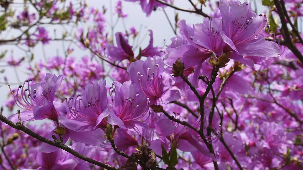 Slider Item 1 (copy) (copy) (copy) (copy) (copy) (copy)