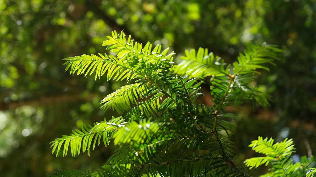 Slider Item 1 (copy) (copy) (copy) (copy) (copy) (copy) (copy)