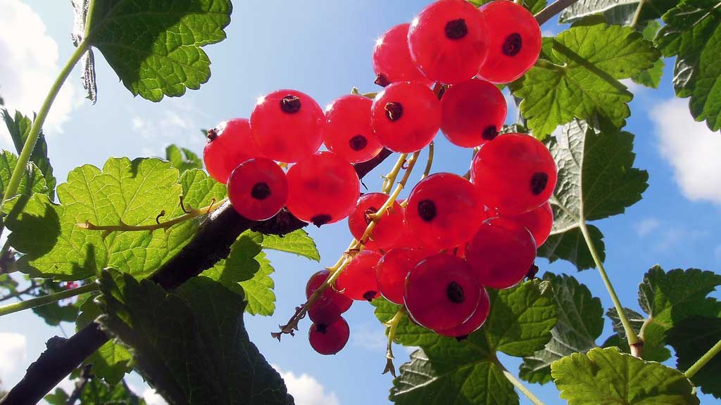 Slider Item 1 (copy) (copy) (copy) (copy) (copy) (copy) (copy) (copy)